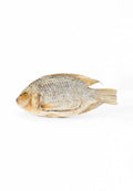 Salted Fish - Koobi
