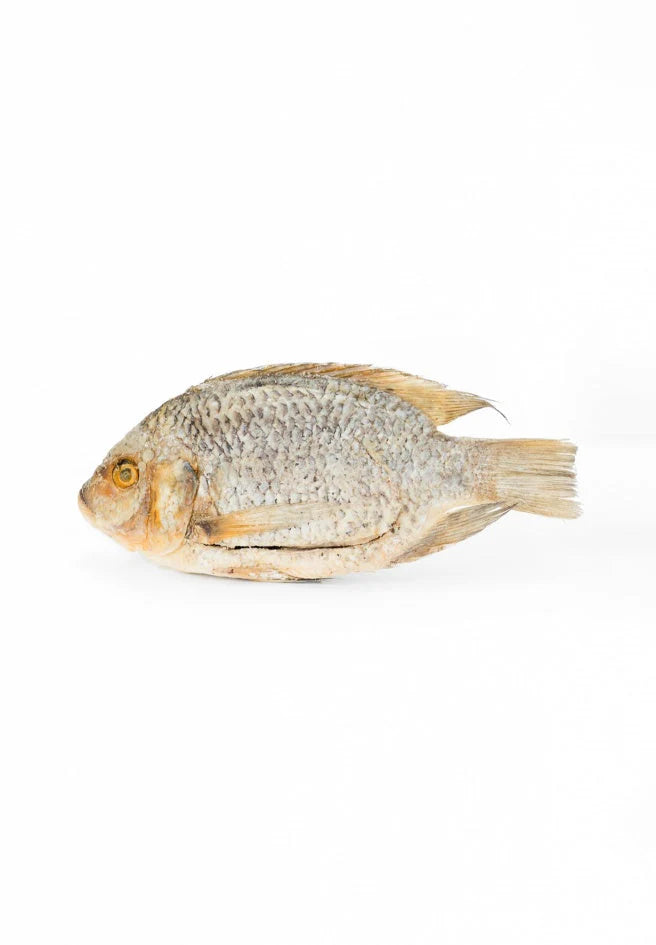 Salted Fish - Koobi