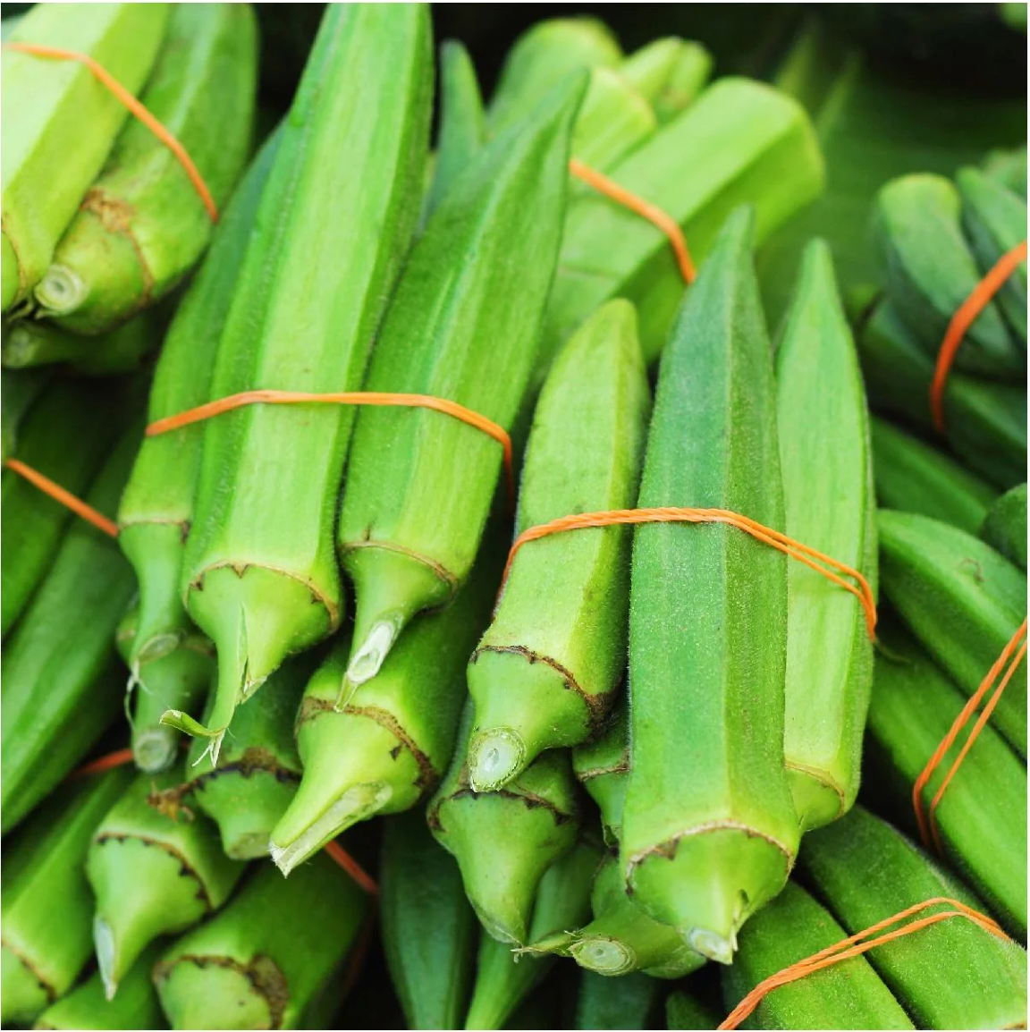 Fresh Okra
