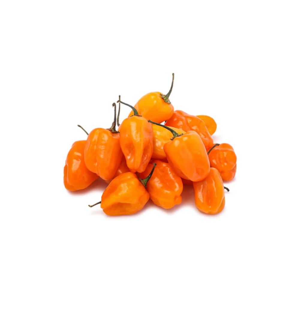 Fresh Habanero Pepper