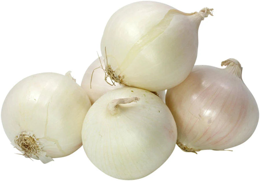 Fresh Onions